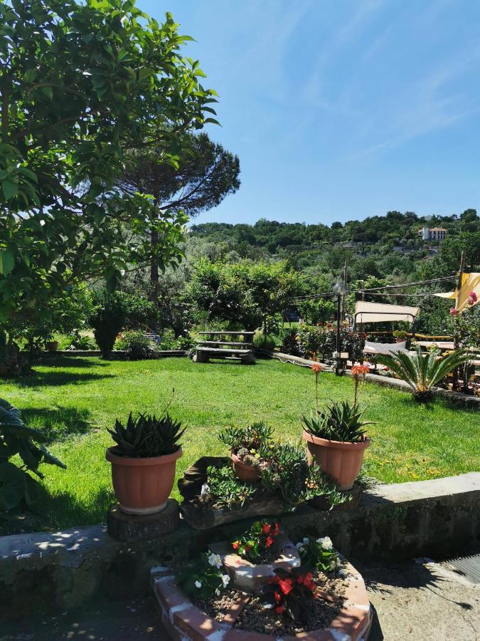 Bed & Breakfast L'angolo Di Campagna *