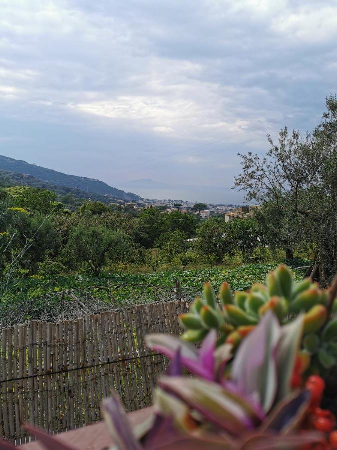 L'angolo Di Campagna Bed & Breakfast Piano di Sorrento