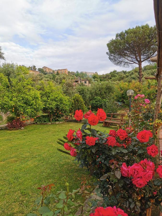 L'angolo Di Campagna