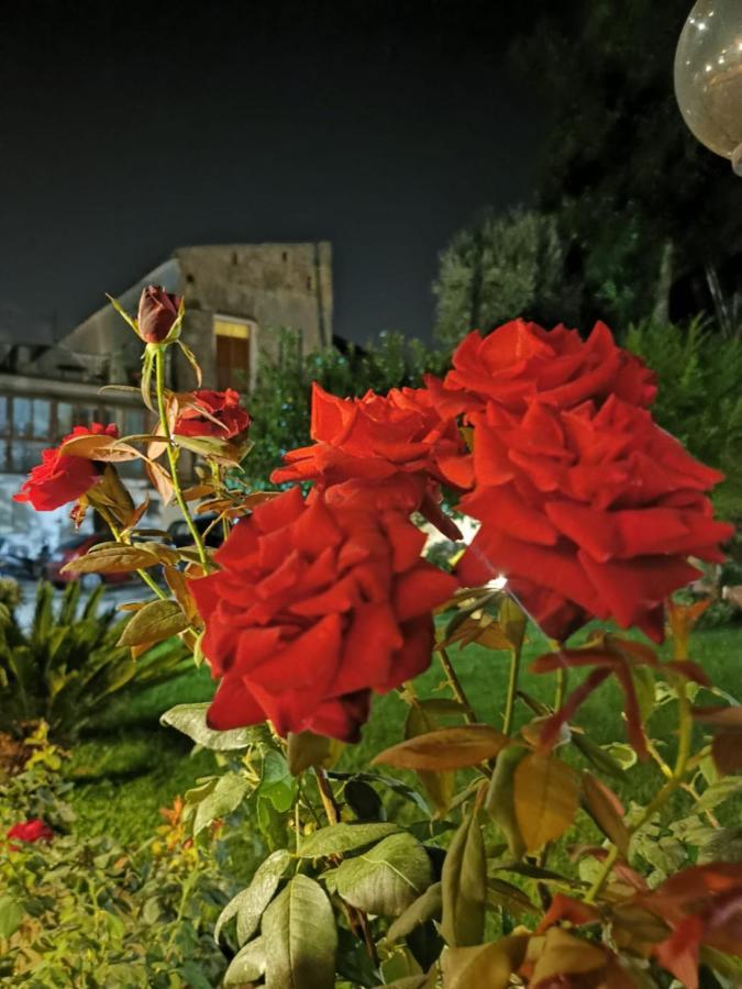 L'angolo Di Campagna * Piano di Sorrento