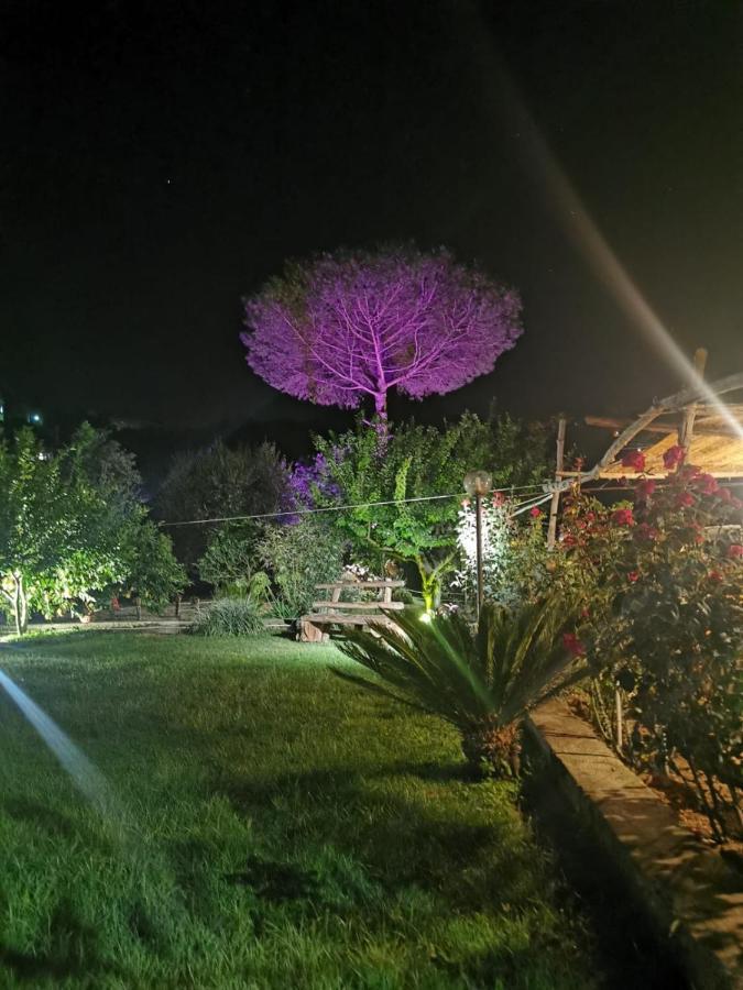 L'angolo Di Campagna * Piano di Sorrento